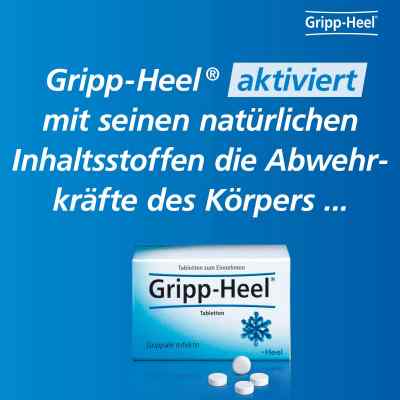 Hell-Gripp tabletki zamów na apo-discounter.pl