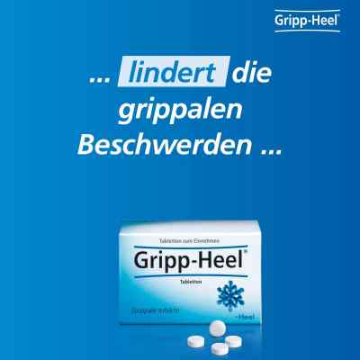 Hell-Gripp tabletki zamów na apo-discounter.pl