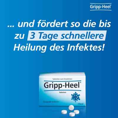 Hell-Gripp tabletki zamów na apo-discounter.pl