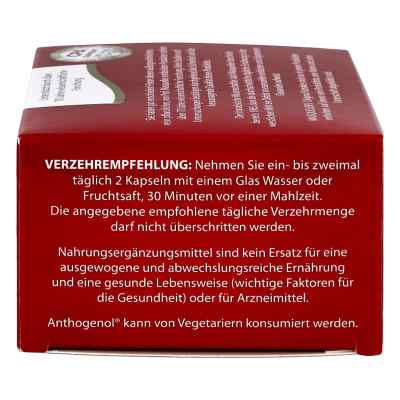 Opc Original Masquelier przeciwulteniacze w kapsułkach zamów na apo-discounter.pl