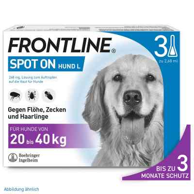 Frontline Spot 20-40 roztwór dla psów, pipetka zamów na apo-discounter.pl