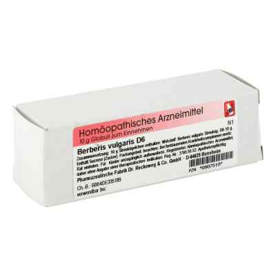 Berberis Vulgaris D 6 Globuli zamów na apo-discounter.pl