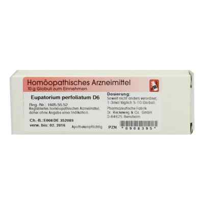 Eupatorium Perfoliatum D 6 Globuli 10 g od Dr.RECKEWEG & Co. GmbH PZN 00908395