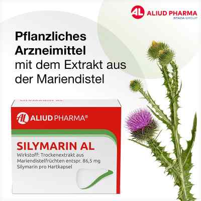 Silymarin AL kapusłki twarde zamów na apo-discounter.pl
