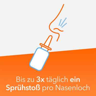 Ratiopharm Spray do nosa dla dorosłych zamów na apo-discounter.pl
