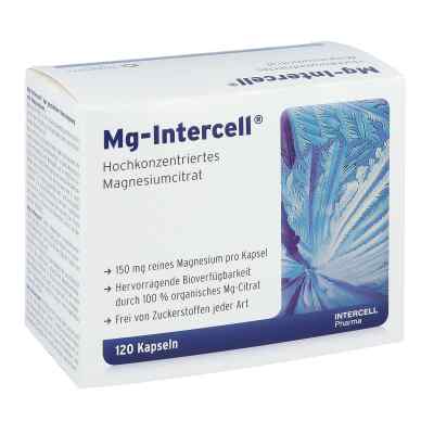 Mg Intercell Kapseln zamów na apo-discounter.pl