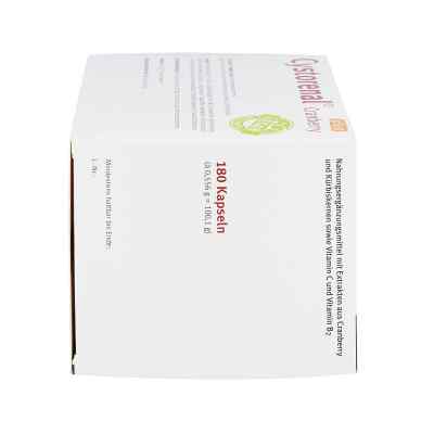 Cystorenal Cranberry plus kapsułki z żórawiną zamów na apo-discounter.pl