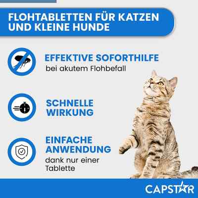 Capstar 11,4 mg f.Katzen u.kleine Hunde Tabl. zamów na apo-discounter.pl