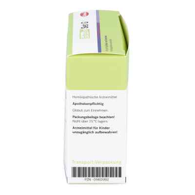 Entoxin Set G Globuli zamów na apo-discounter.pl