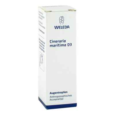Cineraria Maritima D 3 krople do oczu. 10 ml od WELEDA AG PZN 01572483