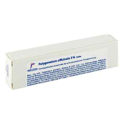 Polygonatum Officinale 5% Ungt. 25 g od WELEDA AG PZN 01628309