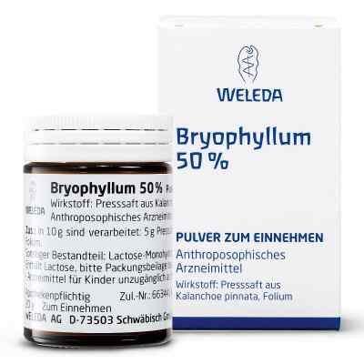 Weleda Bryophyllum 50% proszek doustny zamów na apo-discounter.pl