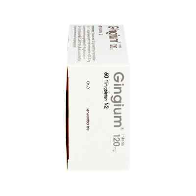 Gingium intens 120 Filmtabl. Gingium intens 120 Filmtabl.