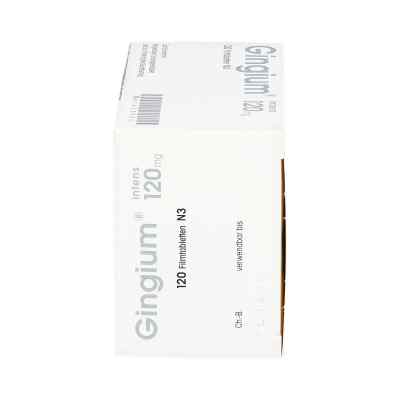 Gingium intens tabletki na koncentrację 120 mg Gingium intens tabletki na koncentrację 120 mg