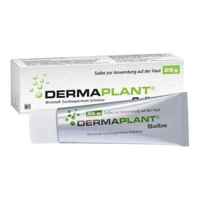 Dermaplant Salbe 25 g od Dr.Willmar Schwabe GmbH & Co.KG PZN 01713512