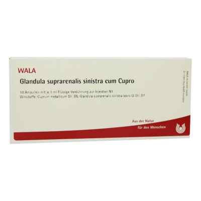 Glandula Supraren. Sinis. cum Cupro Amp. 10X1 ml od WALA Heilmittel GmbH PZN 01751524