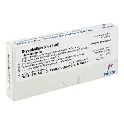 Bryophyllum 5% 1 ml Amp. 8X1 ml od WELEDA AG PZN 01755829