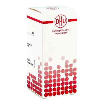 Nux Vomica D 12 Tabl. 80 szt. od DHU-Arzneimittel GmbH & Co. KG PZN 01780810