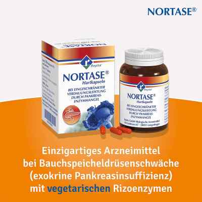 Nortase Kapseln Nortase Kapseln