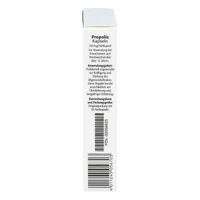 Aagaard Propolis kapsułki zamów na apo-discounter.pl