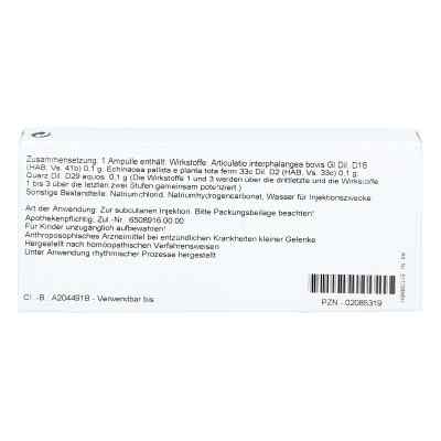 Cartilago/ Echinacea Comp. Amp. zamów na apo-discounter.pl