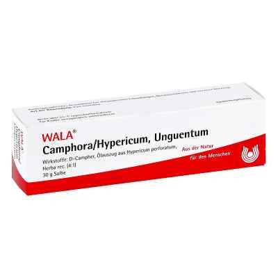 Camphora/hypericum Salbe 30 g od WALA Heilmittel GmbH PZN 02198182