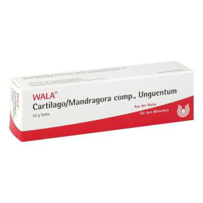 Cartilago/ Mandragora Comp. Salbe 30 g od WALA Heilmittel GmbH PZN 02198213