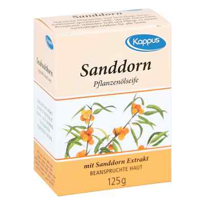 Kappus Sanddorn Florens Ethno Seife zamów na apo-discounter.pl