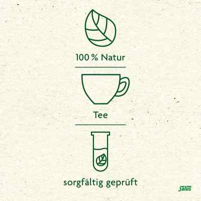 Salus Wechseljahretee Bio Filterbtl. Salus Wechseljahretee Bio Filterbtl.