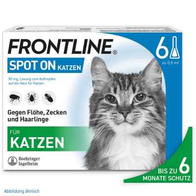Frontline Spot preparat dla kotów, pipetka zamów na apo-discounter.pl