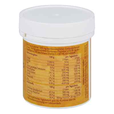 Cordyceps Vitalpilz Terra Mundo kapsułki zamów na apo-discounter.pl