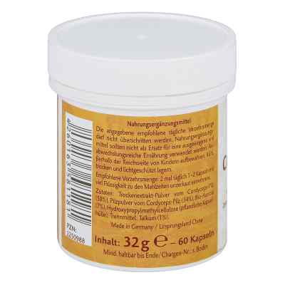 Cordyceps Vitalpilz Terra Mundo kapsułki zamów na apo-discounter.pl