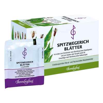 Spitzwegerichblaetter Filterbtl. zamów na apo-discounter.pl
