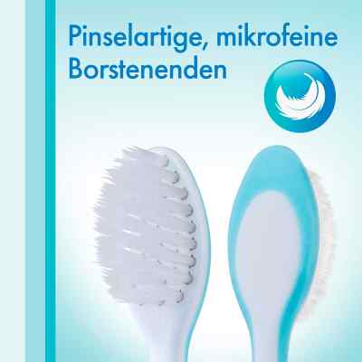 Meridol szczoteczka do zębów zamów na apo-discounter.pl