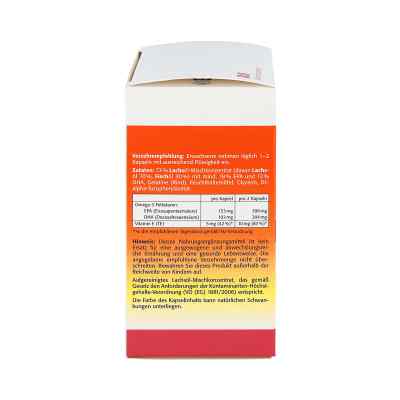 Sanhelios Lachsoel 850 Omega 3 kapsulki z olejem łososia zamów na apo-discounter.pl