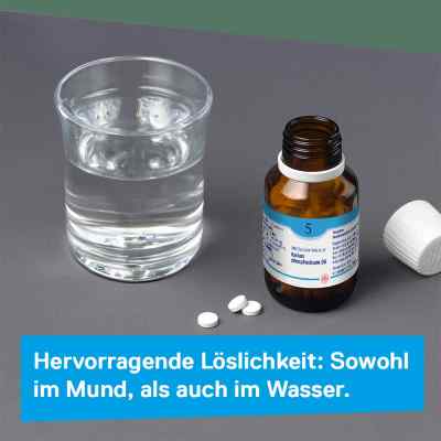 Biochemie DHU sól Nr 5 Fosforan potasu D12 tabletki zamów na apo-discounter.pl