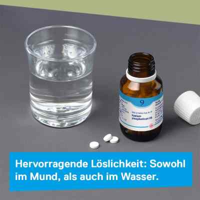 Biochemie Dhu 9 Natrium phosph. D 12 Tabl. Biochemie Dhu 9 Natrium phosph. D 12 Tabl.