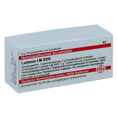 Lm Lachesis Xxiv Globuli 5 g od DHU-Arzneimittel GmbH & Co. KG PZN 02678203