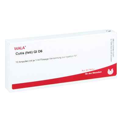 Cutis Feti Gl D6 ampułki 10X1 ml od WALA Heilmittel GmbH PZN 02831171