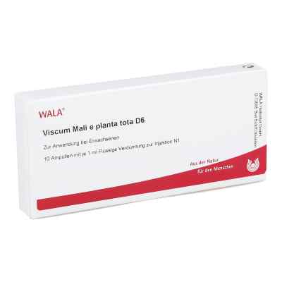 Viscum Mali e planta tota D 6 Amp. 10X1 ml od WALA Heilmittel GmbH PZN 02832733