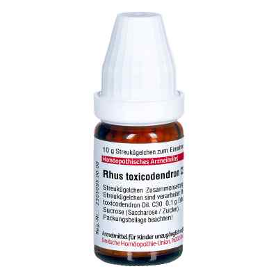 Rhus Tox. C 30 globulki zamów na apo-discounter.pl