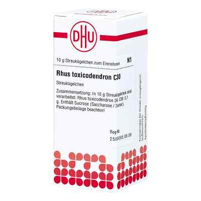Rhus Tox. C 30 globulki zamów na apo-discounter.pl