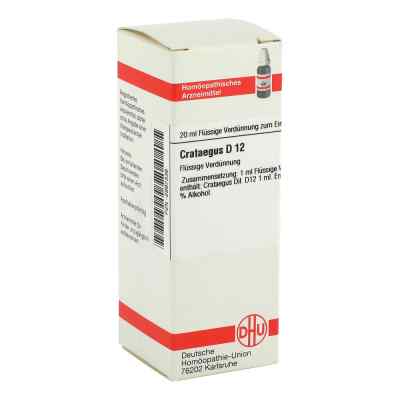 Crataegus D 12 Dil. 20 ml od DHU-Arzneimittel GmbH & Co. KG PZN 02897336