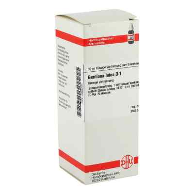 Gentiana Lutea D 1 Dil. 50 ml od DHU-Arzneimittel GmbH & Co. KG PZN 02899200