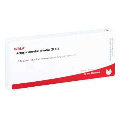 Arteria Cerebri Media Gl D 5 Amp. 10X1 ml od WALA Heilmittel GmbH PZN 02903841