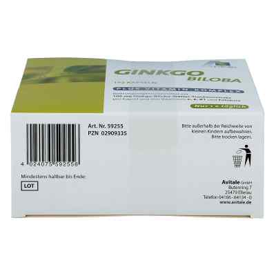 Ginkgo biloba 100 mg kapsułki z wit. B1, C + E zamów na apo-discounter.pl