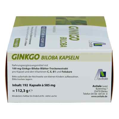 Ginkgo biloba 100 mg kapsułki z wit. B1, C + E zamów na apo-discounter.pl