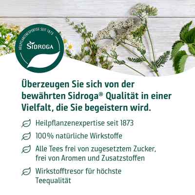 SIDROGA herbata z mniszka lekarskiego saszetki zamów na apo-discounter.pl
