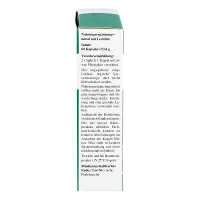 Alsitan Lecithin kapsułki zamów na apo-discounter.pl