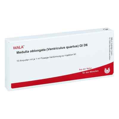 Medulla Oblongata Ven.qu.gl D 6 Amp. 10X1 ml od WALA Heilmittel GmbH PZN 03356677